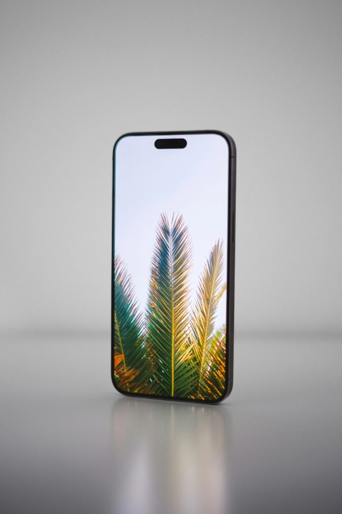 Ein Handy mit dem Bild einer Palme.